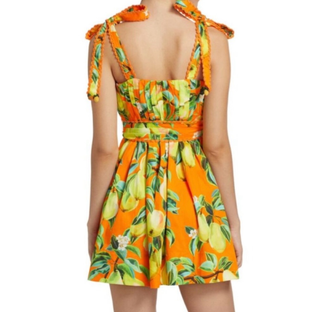 FARM Rio Chic Pears Mini Dress - Picture 4 of 12